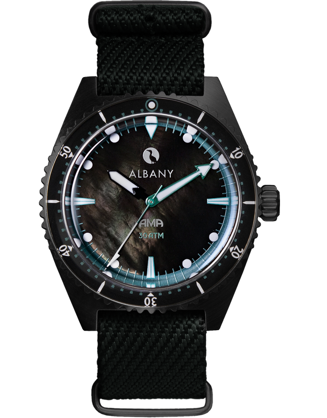 ALBANY AMA PVD NIGHT DIVE EDITION MENS WATCH - Image 4